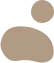 vector graphics